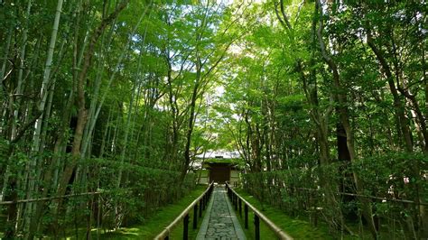  大通公園、歴史と自然が調和する憩いの空間！